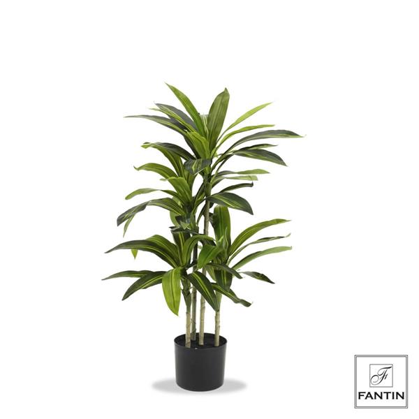 SET 2 PIANTE TROPICALE CON VASO CM. H100