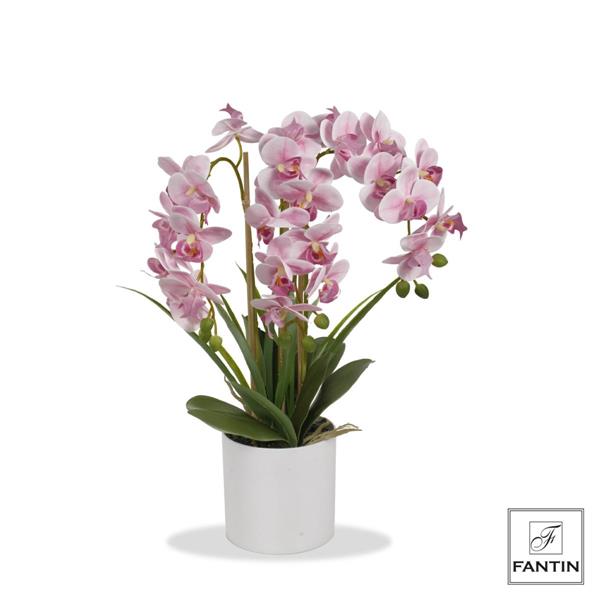 SET 2 PIANTE ORCHIDEA ROSA 3 RAMI REAL TOUCH CON VASO CERAM.CM. H60