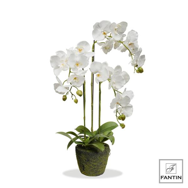 SET 2 PIANTE ORCHIDEA BIANCA 3 RAMI REAL TOUCH CM. H80