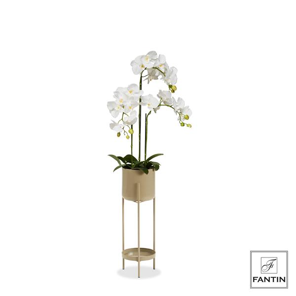 SET 2 PIANTE ORCHIDEA BIANCA 3 RAMI REAL TOUCH CM. H80