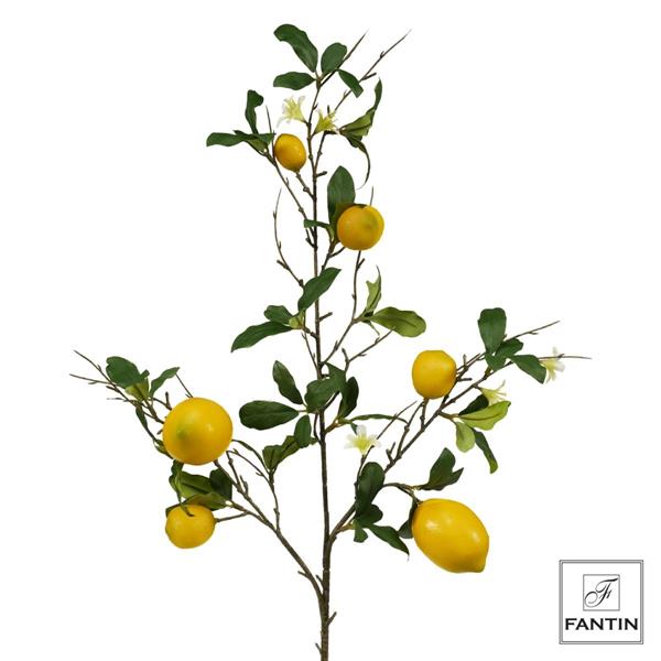 COMPOSIZIONE 6 RAMI LIMONI CM. 85