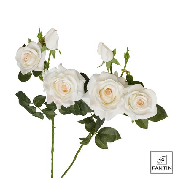 BOUQUET ROSE BIANCHE 6 STELI, 18 ROSE (3XSTELO) CM. 73,5