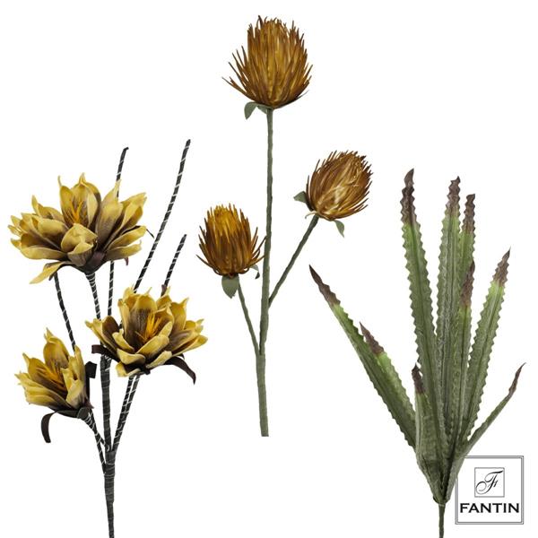 COMPOSIZ.FLOREALE DALIE,PROTEA NITIDA,AGAVE GIALLO CM.100-110;6STELI