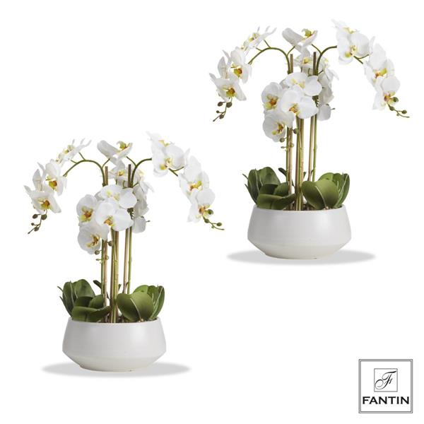 SET 2 PIANTE ORCHIDEA BIANCA 4 RAMI REAL TOUCH VASO CERAM.CM Ø23XH53