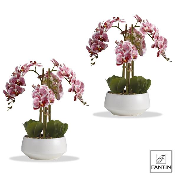 SET 2 PIANTE ORCHIDEA ROSA 4 RAMI REAL TOUCH VASO CERAM.CM Ø23XH53