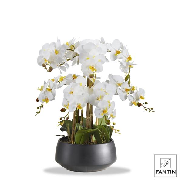 ORCHIDEA BIANCA 8 RAMI REAL TOUCH CON VASO CERAMICA NERO CM Ø28 XH60