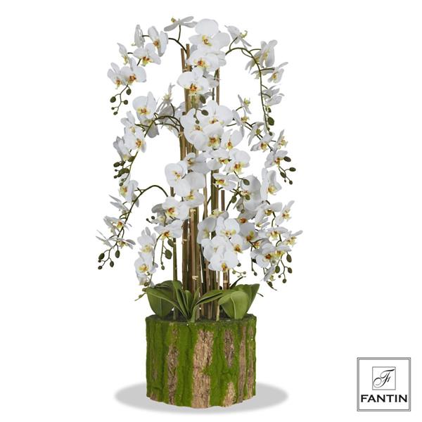 ORCHIDEA BIANCA 16 RAMI REAL TOUCH C/TRONCO CM Ø36 X H114