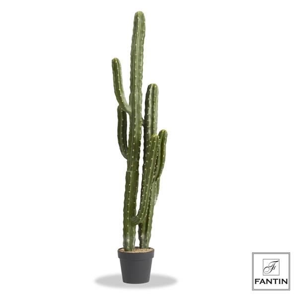 CACTUS CON VASO NERO  CM. H143
