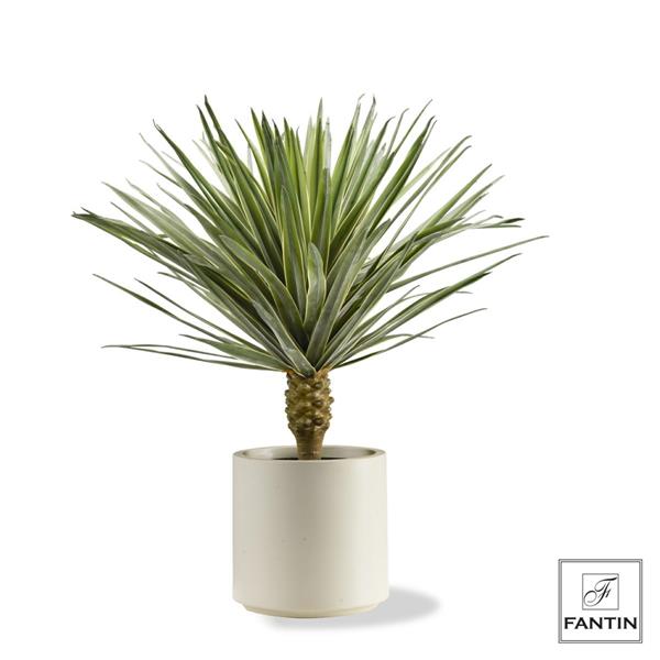 PIANTA AGAVE CON VASO BIANCO CM. H85