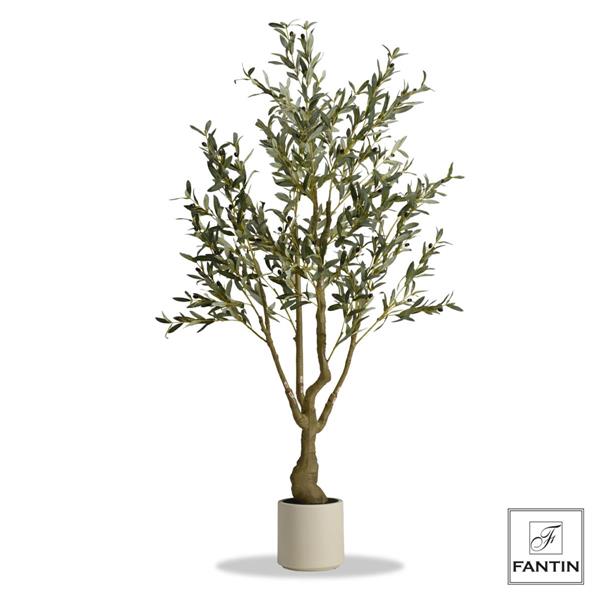 PIANTA ULIVO CON VASO BIANCO CM. H180