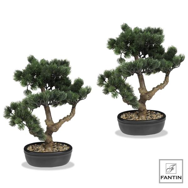 SET 2 PIANTE BONSAI CON VASO IN CERAMICA NERO CM. H43